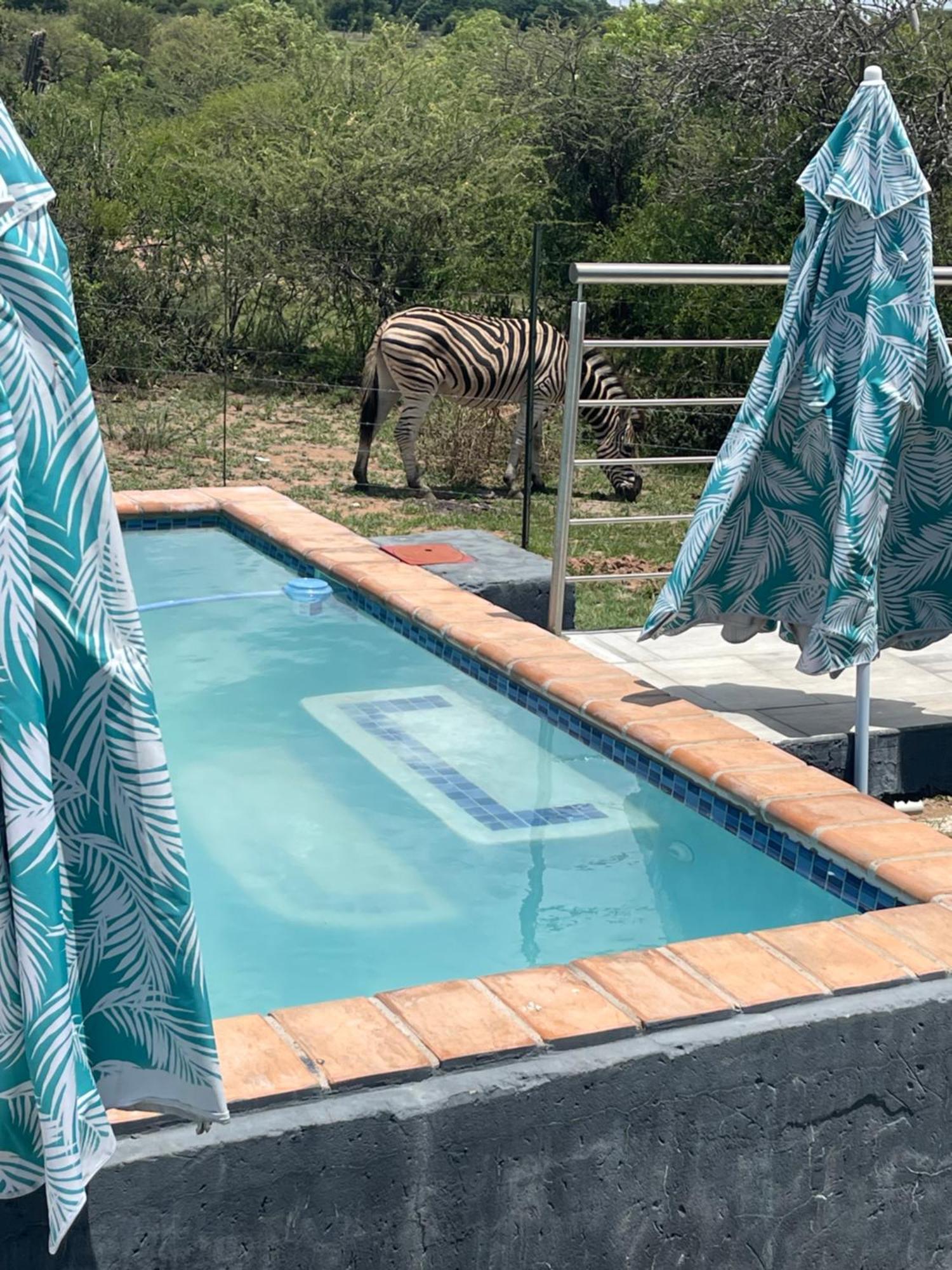 Kings View Exclusive Villas Pretoria-Noord Εξωτερικό φωτογραφία